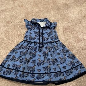 Gentle used Janie and Jack dress